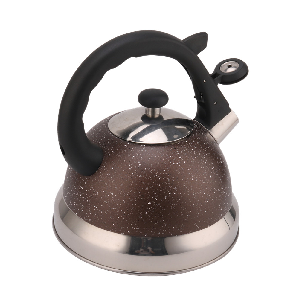 3 Litre Capacity Stainless Steel Whistling Kettle — 4