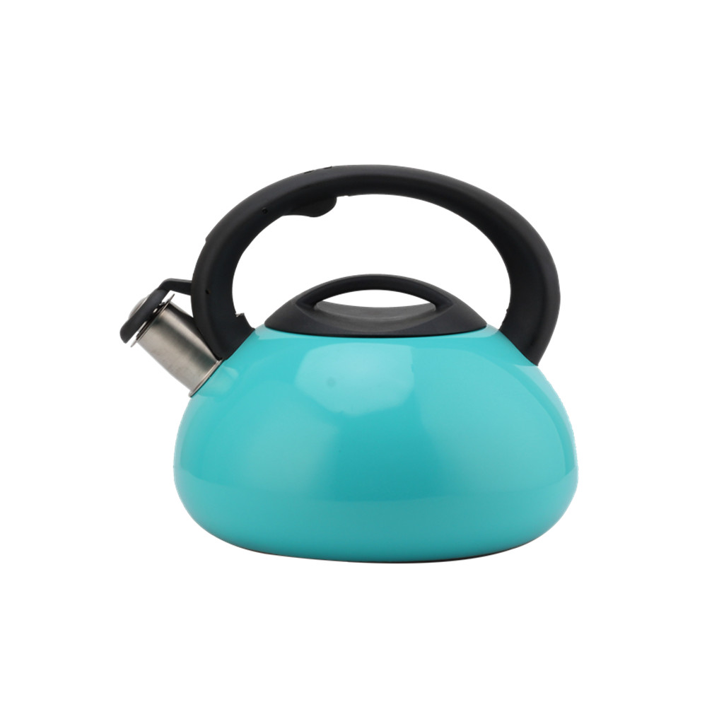 Induction Whistling Kettle Made Of Stainless Steel — product information