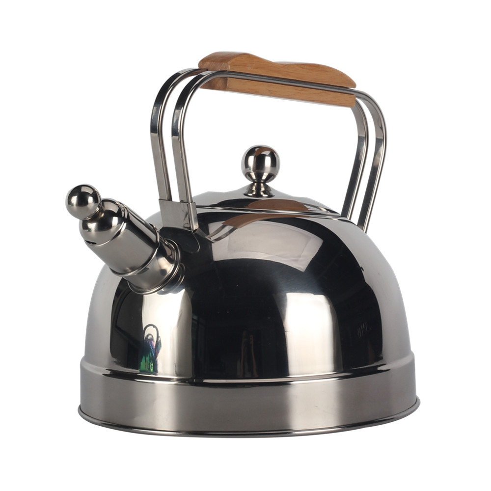 Stainless Steel whistling Kettle — 2