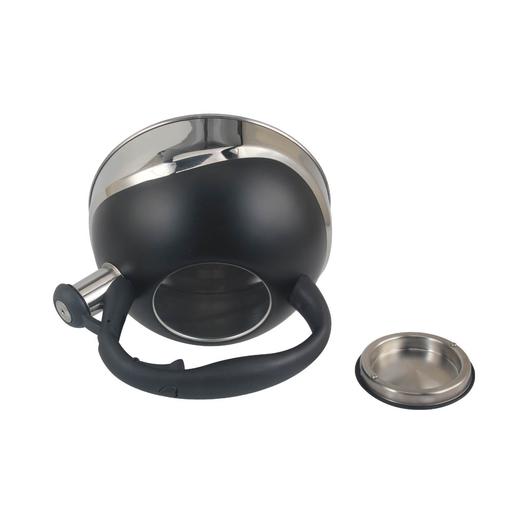 Modern Stainless Steel Whistling Kettle, Ergonomic Handle — product information