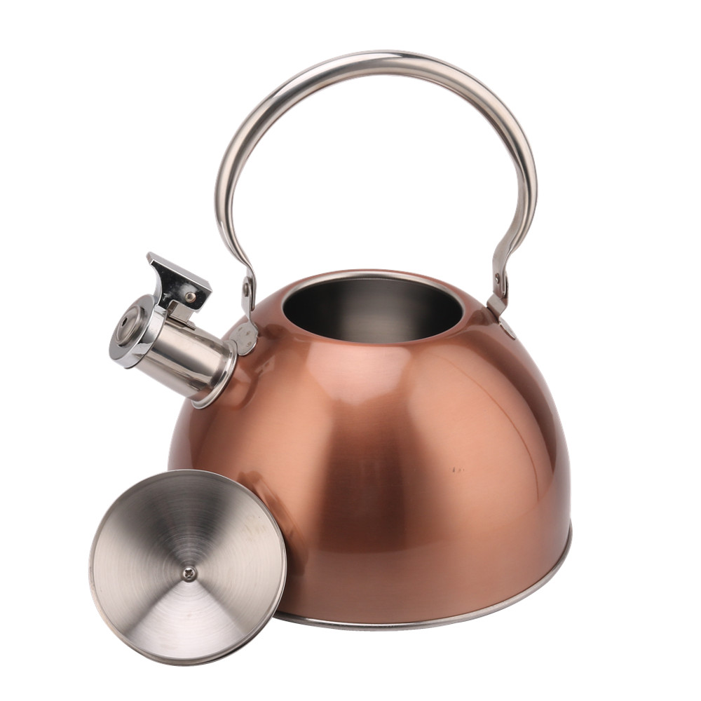 Kettle Induction-Stainless Steel Tea Kettle 2.5L Teal — 4