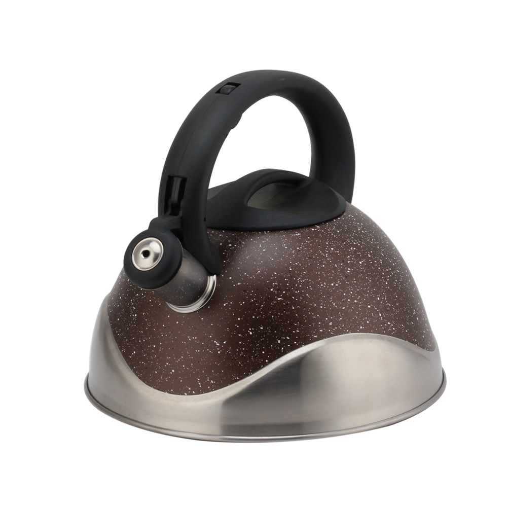 Stainless Steel Whistling Kettle, Ergonomic Handle — product information