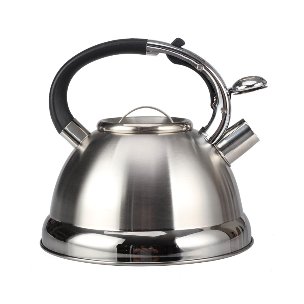 Stainless Steel Whistling Tea Kettle for Kitchen — 4