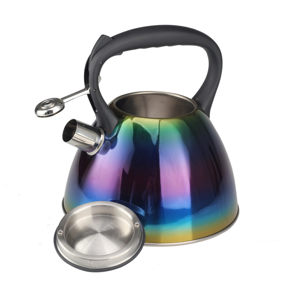 Classic Stainless Steel Whistling Tea Kettle With Silicone Handle — 5