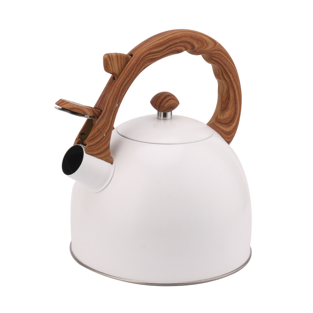 Whistling Tea Kettle-Cooker Induction-Stainless Steel Teapot Quick Kettle for Kitchen — product information