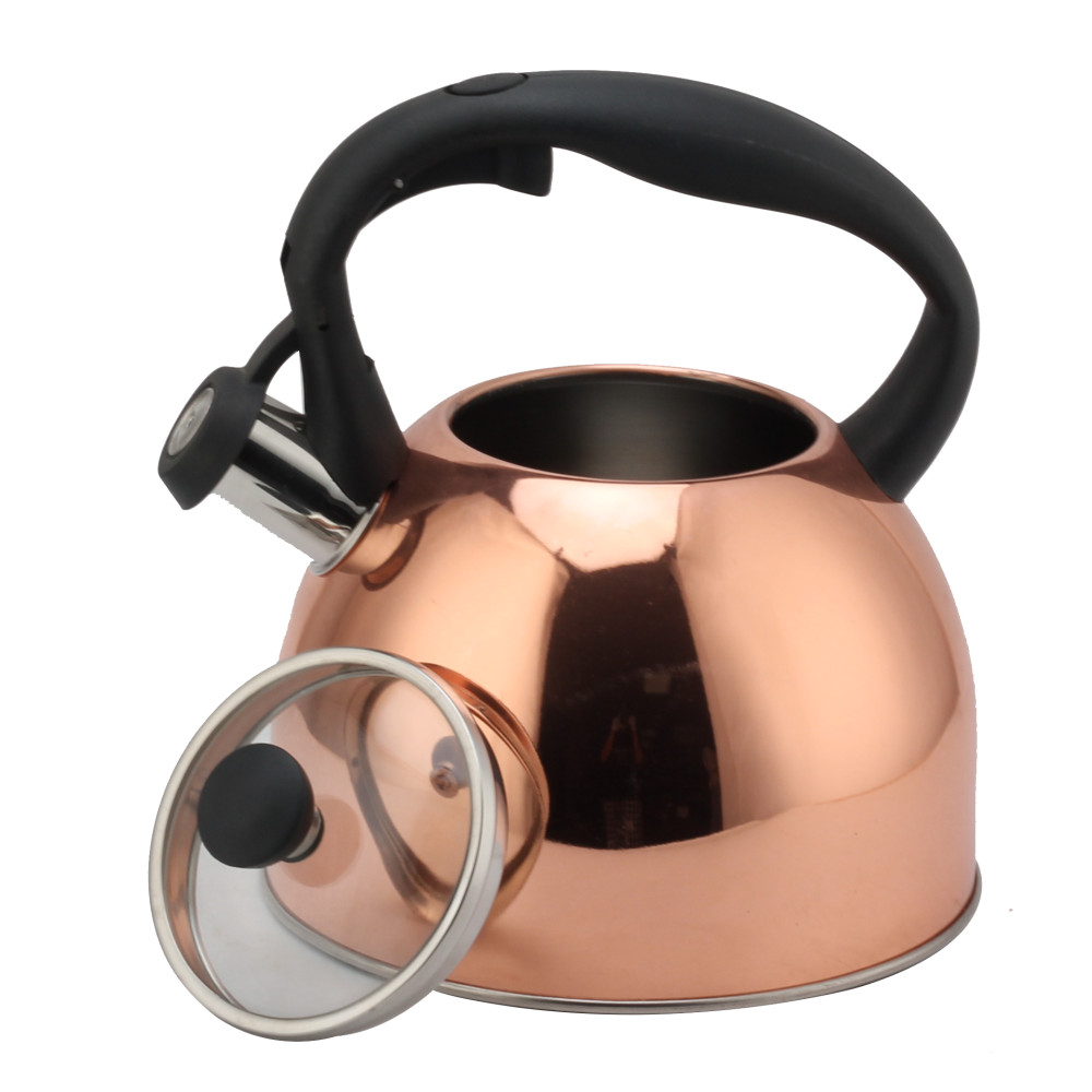 Fashionable S/S Whistling Kettle for Kitchen — product information