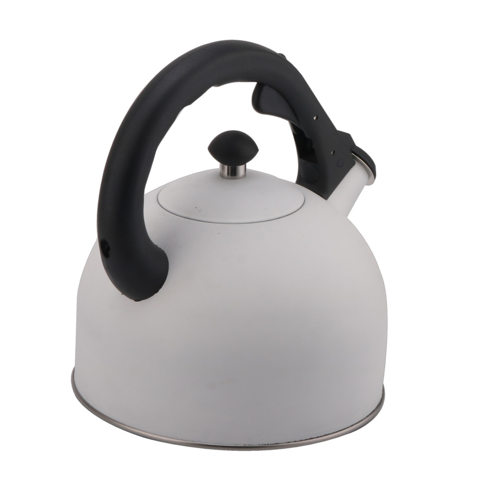 Stainless Steel Whistling Tea Kettle-White — 5