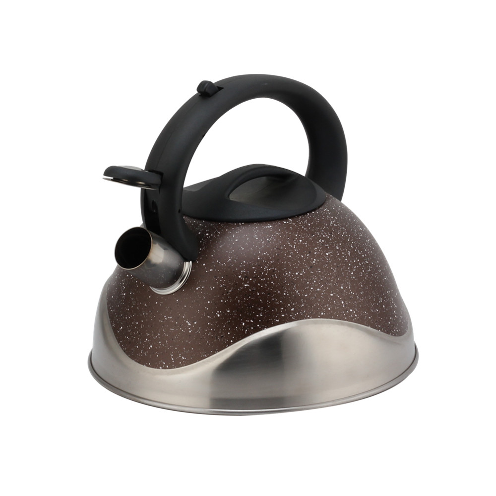 Stainless Steel Whistling Kettle, Ergonomic Handle — 2