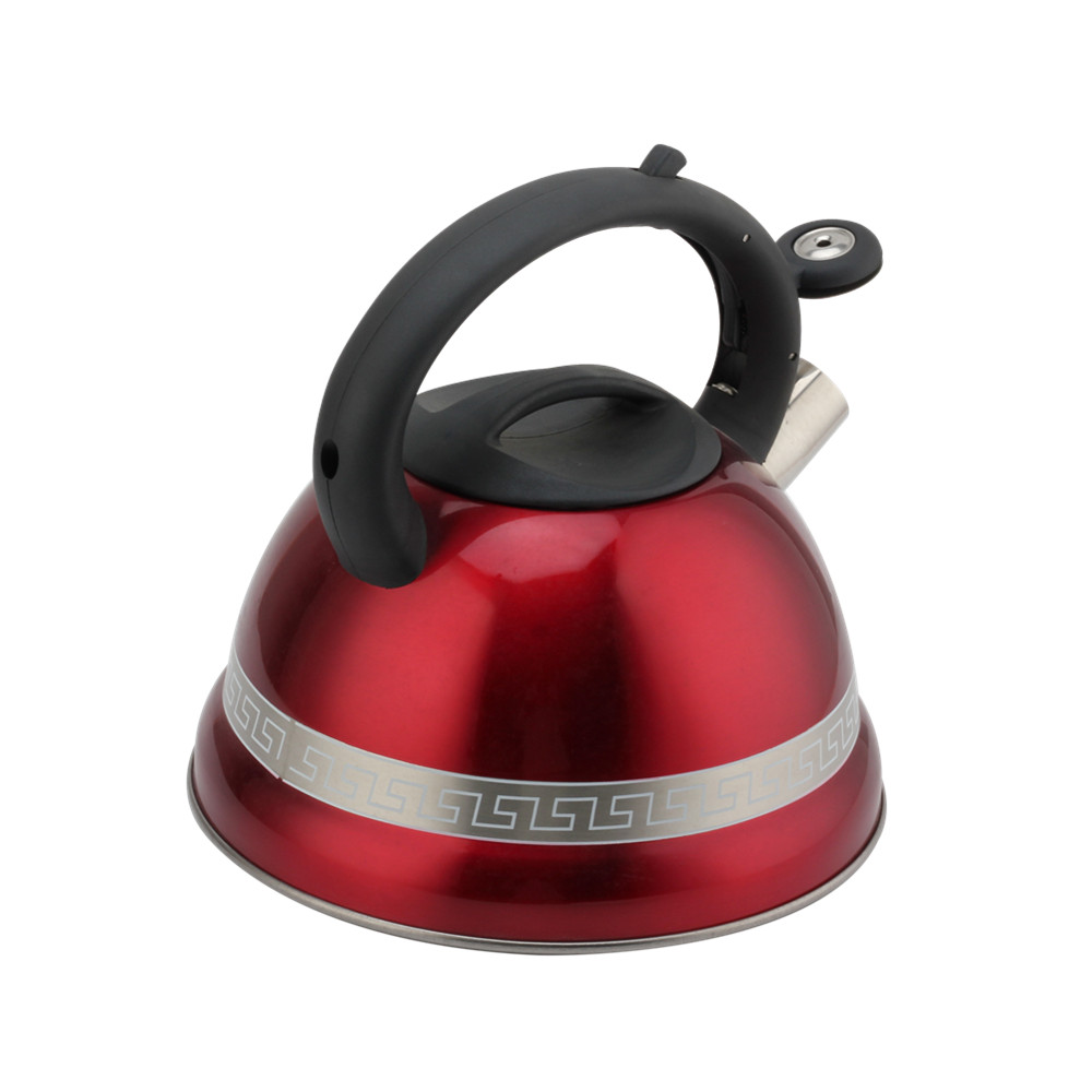 Stainless Steel Kettle With Induction Cooker-Suitable for All Hob Types — 4