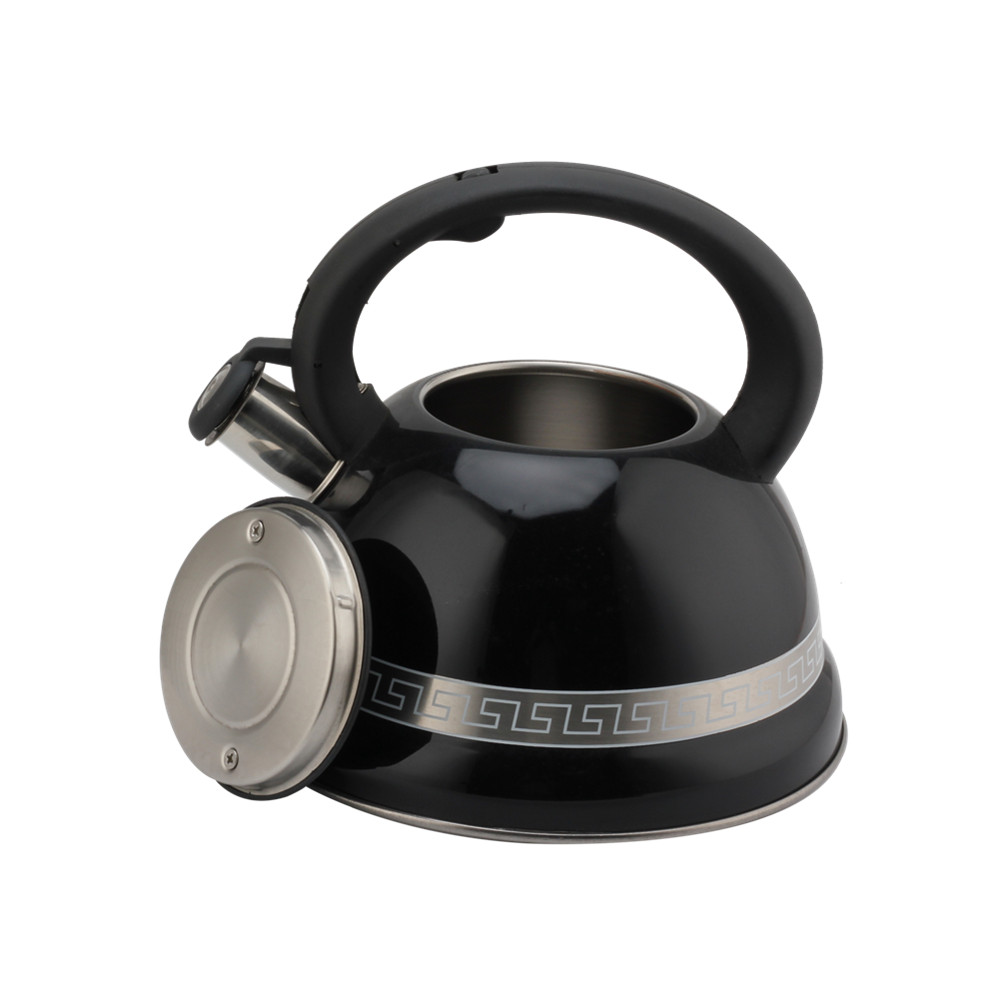 Kettle With Whistle, Suitable for Induction, 3L, Stainless Steel — 6
