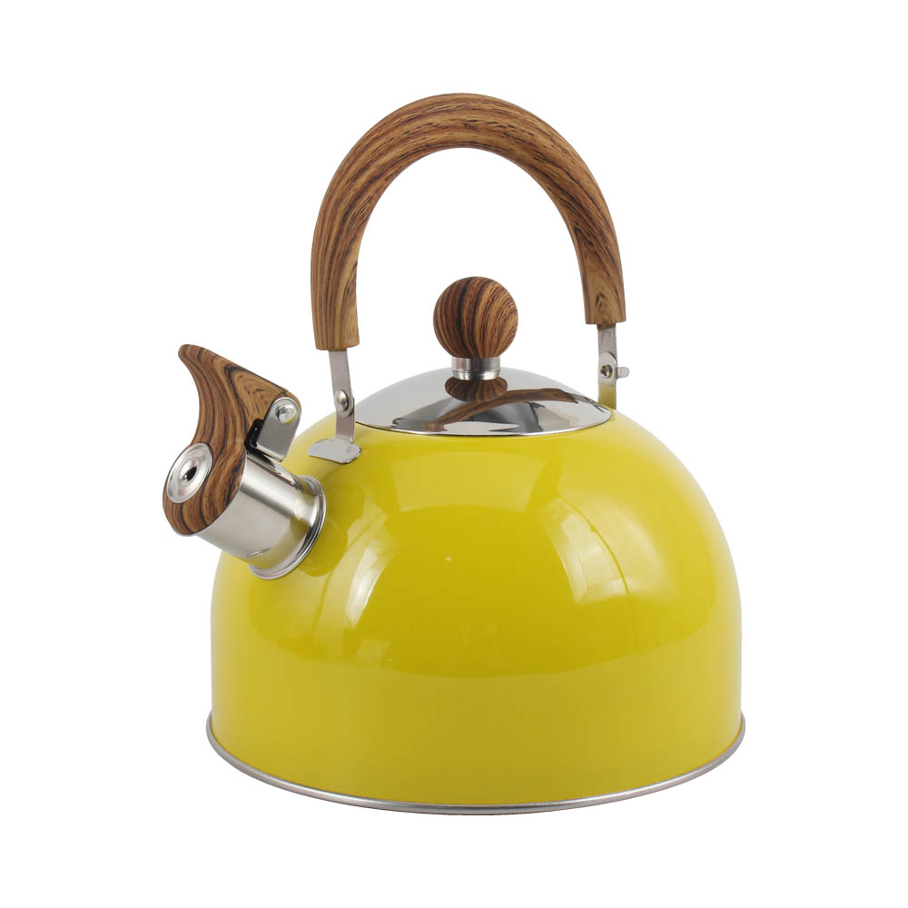 Stainless Steel whistling Kettle — 2