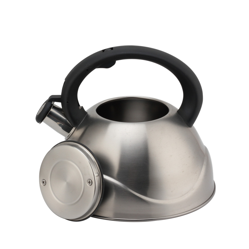 Stainless Steel Whistling Kettle, Ergonomic Handle, Silver Color — 6