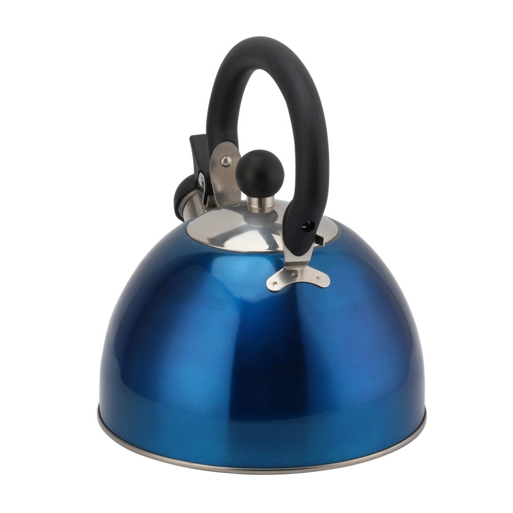 Stainless Steel Whistling Kettle (Blue) — 2