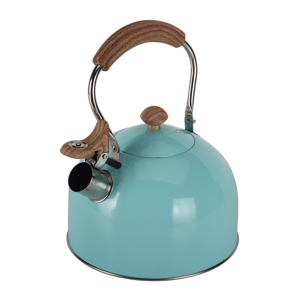 Mint Green Stainless Steel Whistling Tea Kettle — 4
