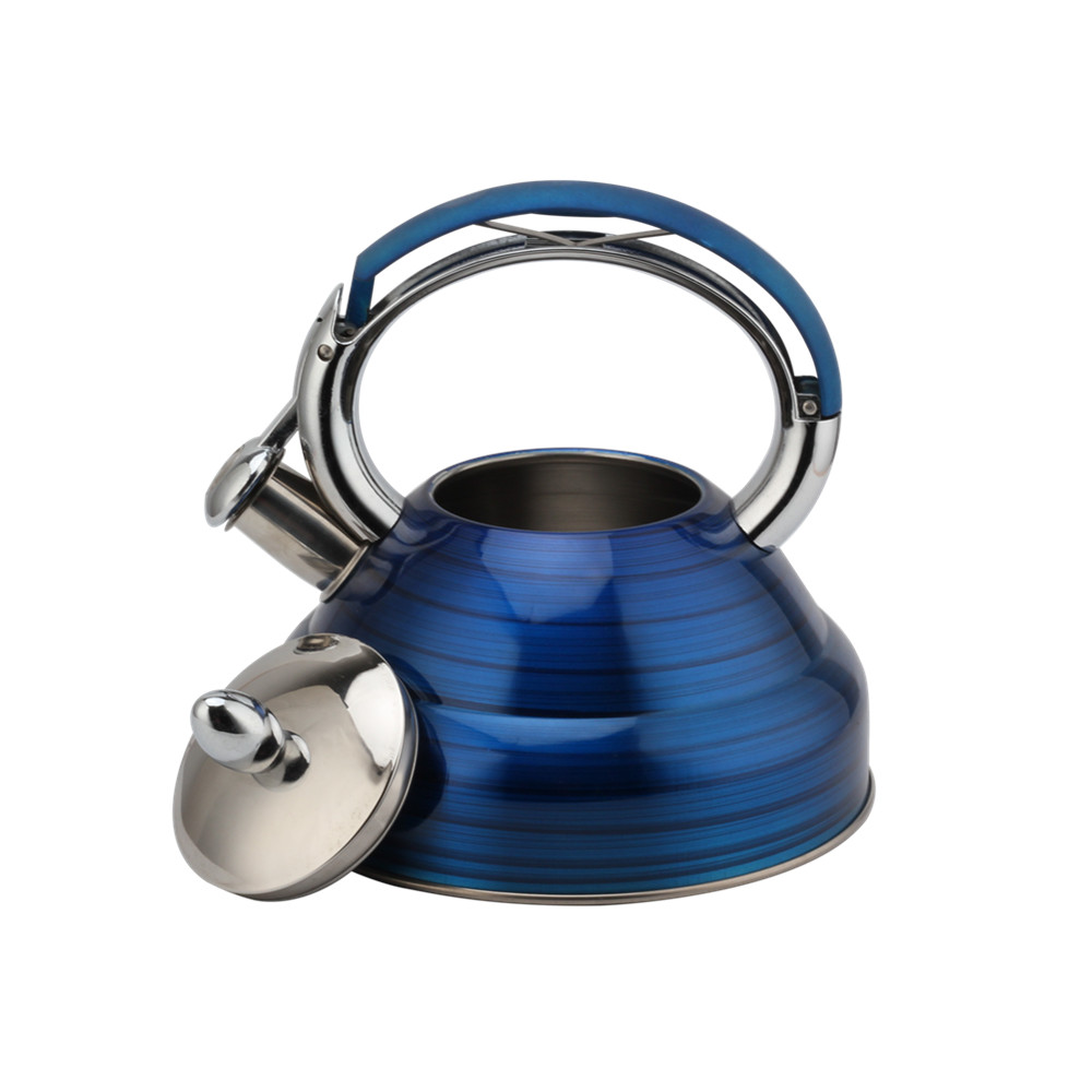 Modern Induction Whistling Kettle Stainless Steel Tea Kettle for All Hobs