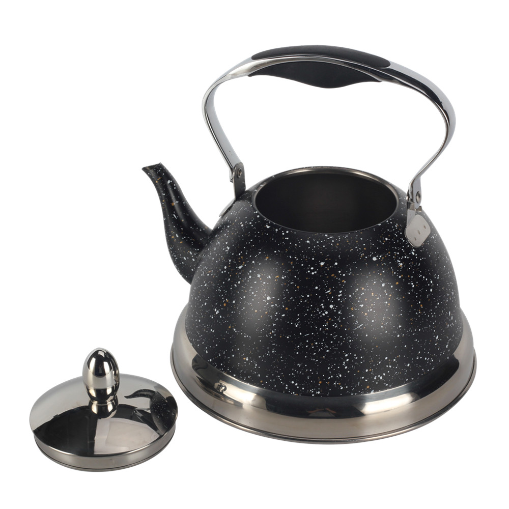 Stainless Steel whistling Kettle — product information