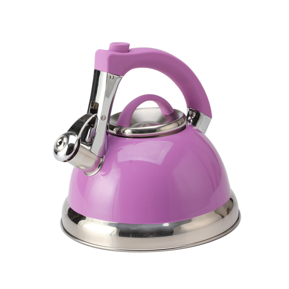 Classic Stainless Steel Whistling Tea Kettle With Purple Handle — 4