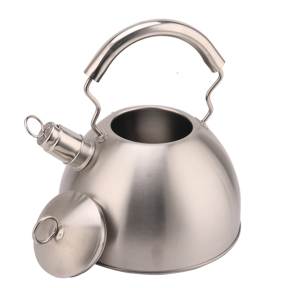 Silver-Stainless Steel Whistling Tea Kettle — 5