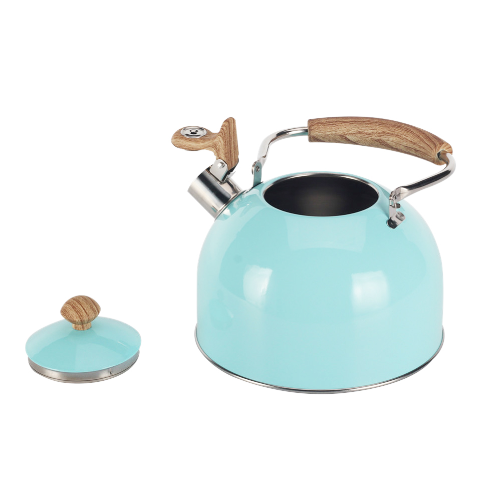Stainless Steel whistling Kettle — 2