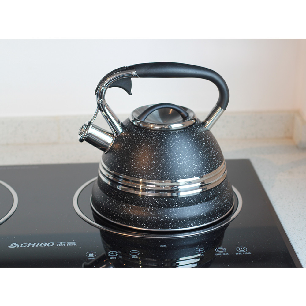 Stainless Steel whistling Kettle — product information