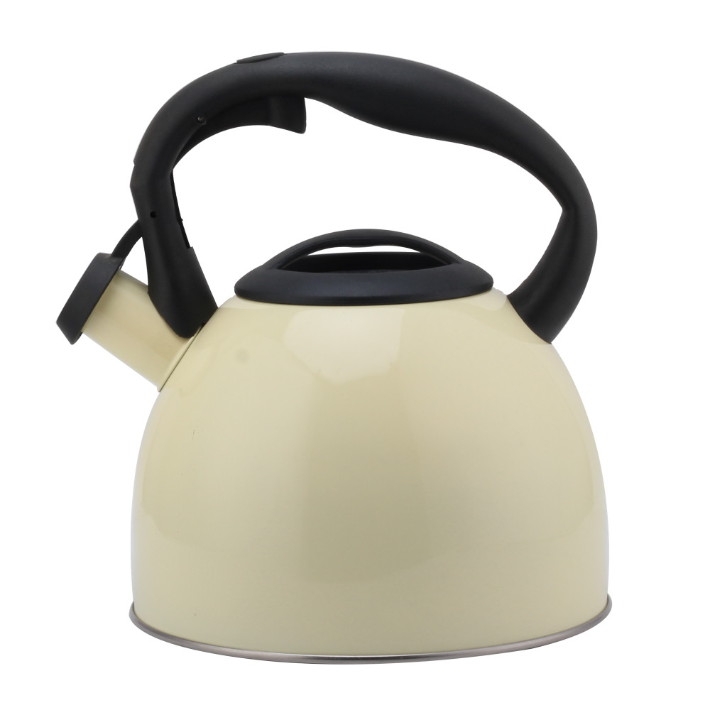 Fashionable S/S Whistling Kettle for Kitchen-Light Color — product information