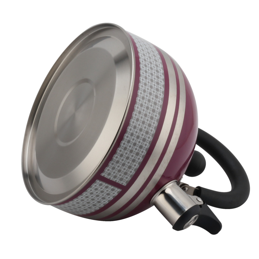 S/S Tea Kettle With Whistling Sound — 6