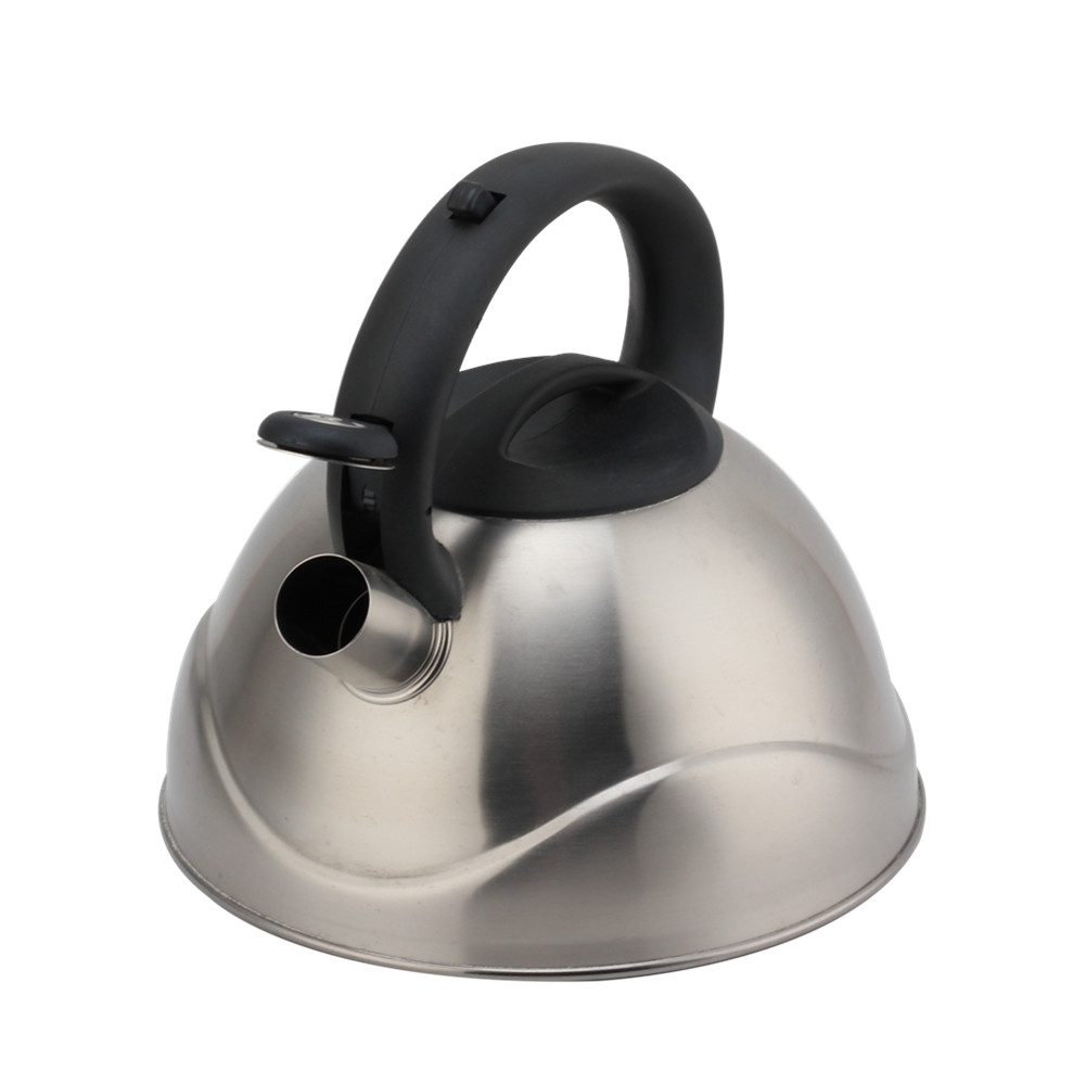 Stainless Steel Whistling Kettle, Ergonomic Handle, Silver Color — 4