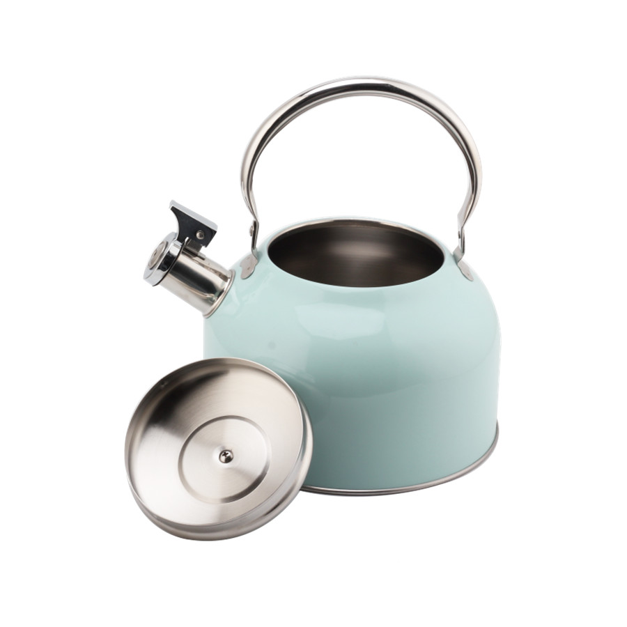 Stainless Steel Whistling Tea Kettle, Tea Kettle for All Hobs — product information