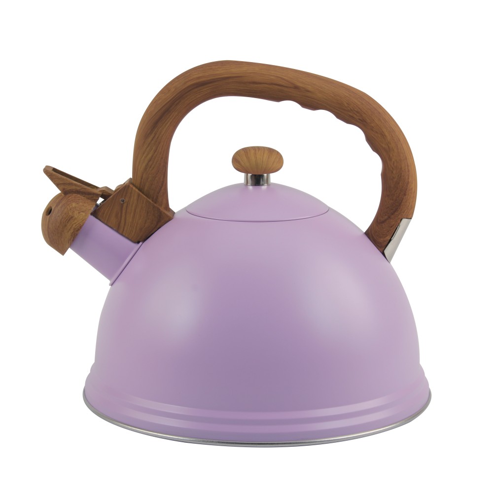 S/S Whistling Kettle-Suitable for Induction And Gas — product information