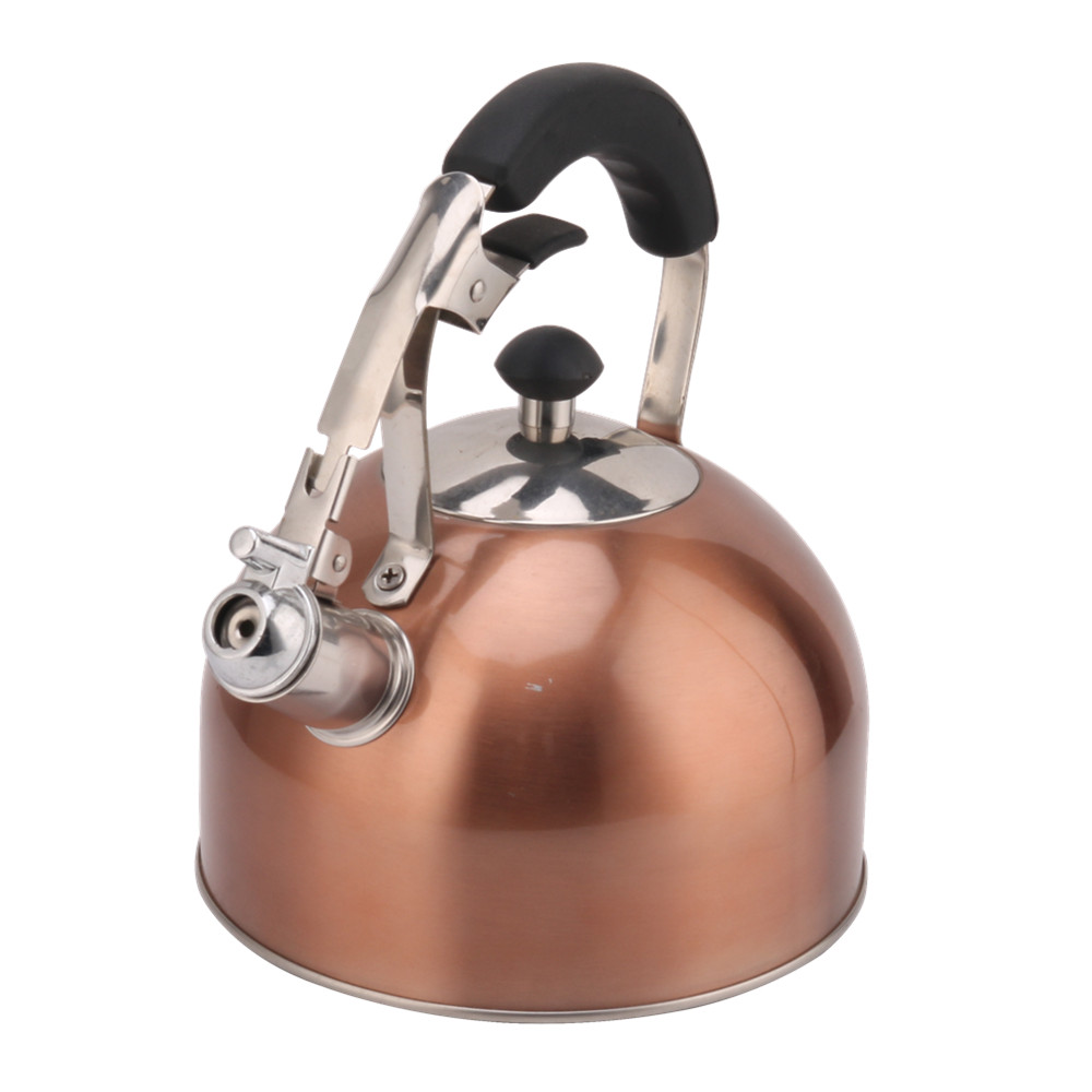 Stainless Steel Whistling Tea Kettle for Stove — product information