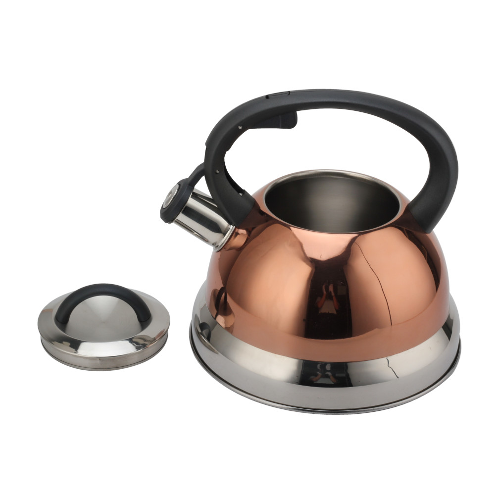 S/S Whistling Teapot With Handle for Induction And Gas — 4