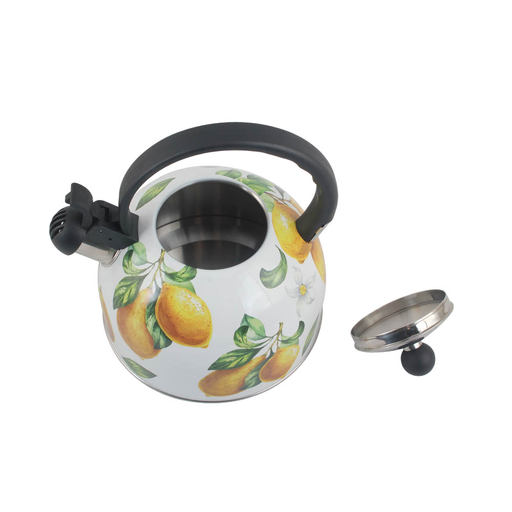 Patterned Stainless Steel Whistling Kettle — 2
