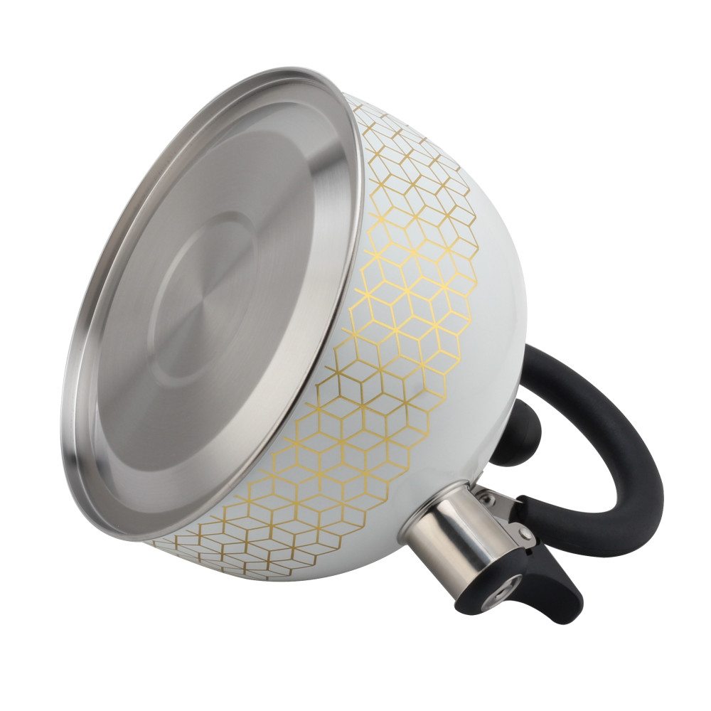 Patterned Stainless Steel Tea Kettle With Whistling Sound-White — 6
