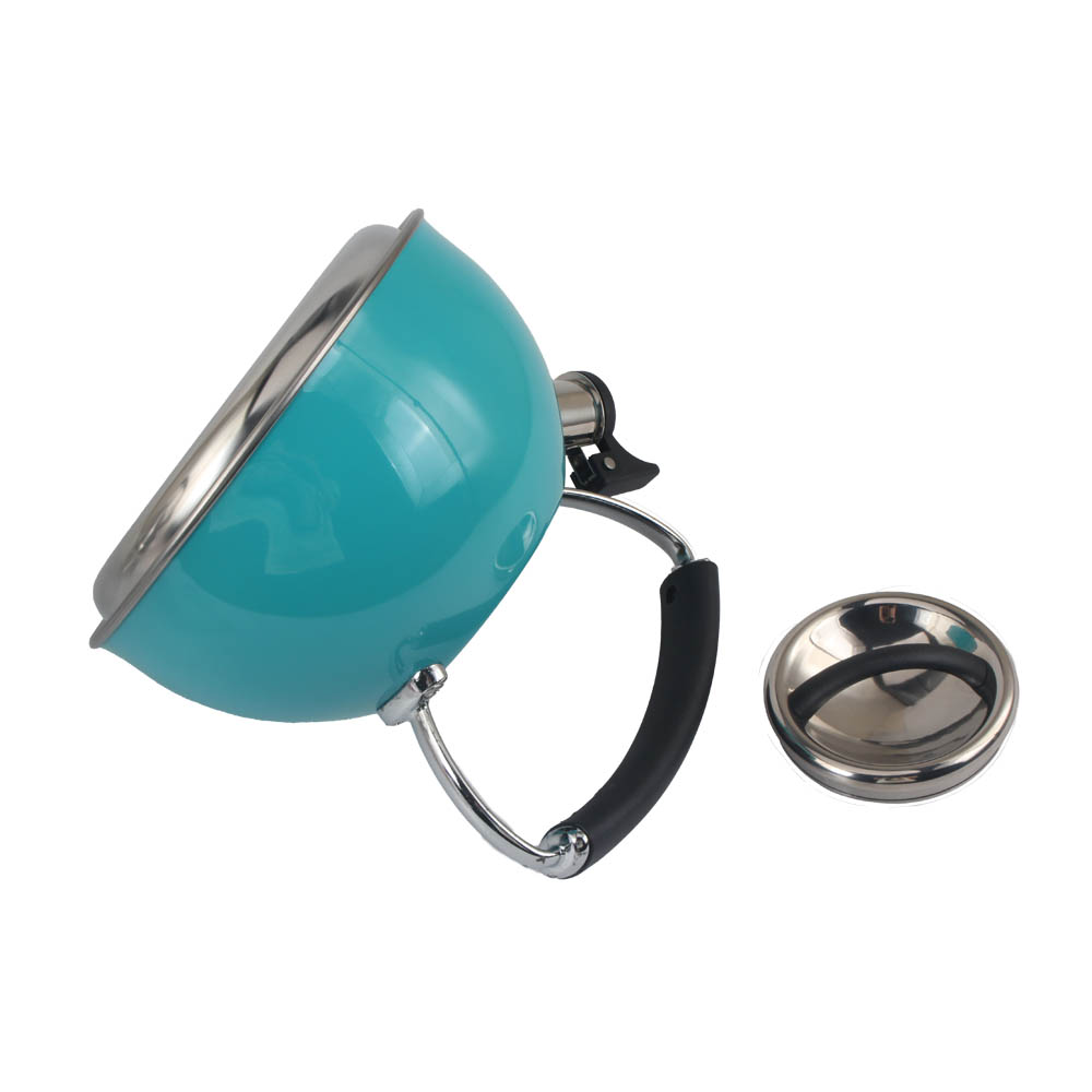 Stainless Steel whistling Kettle — 4