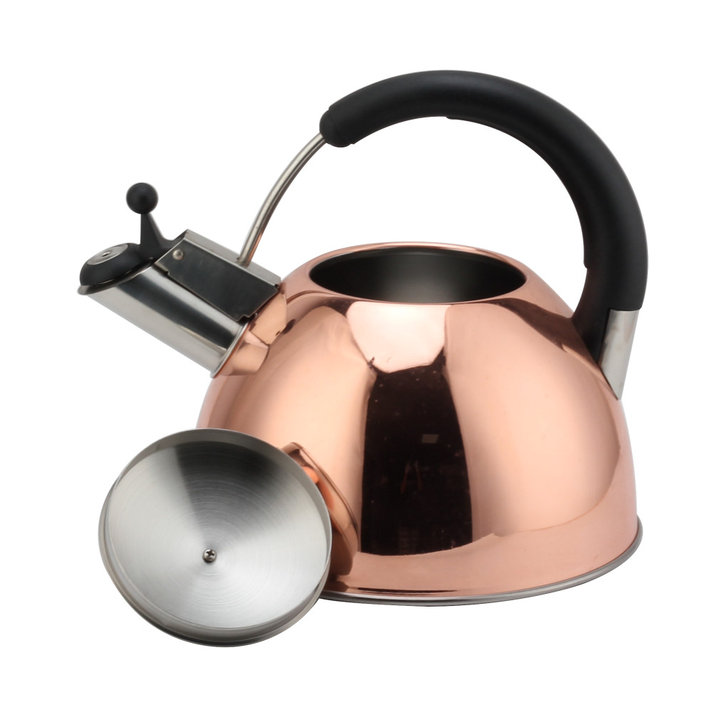 Modern S/S Whistling Kettle for Kitchen — 6