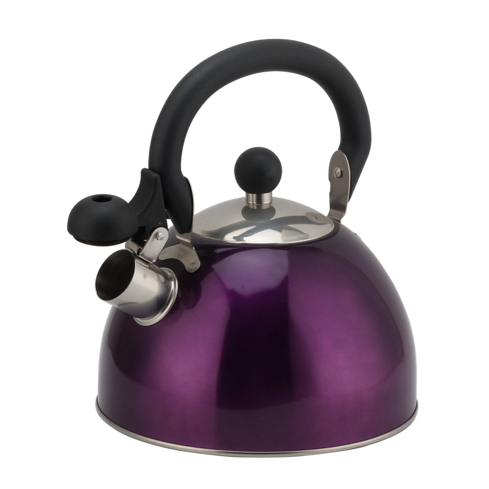 Stainless Steel Whistling Kettle -Teapot Suitable for Induction And Gas — 3
