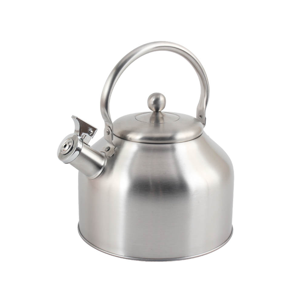 Stainless Steel whistling Kettle — 3