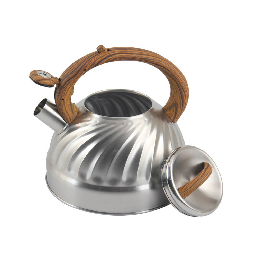 Stainless Steel whistling Kettle — 2