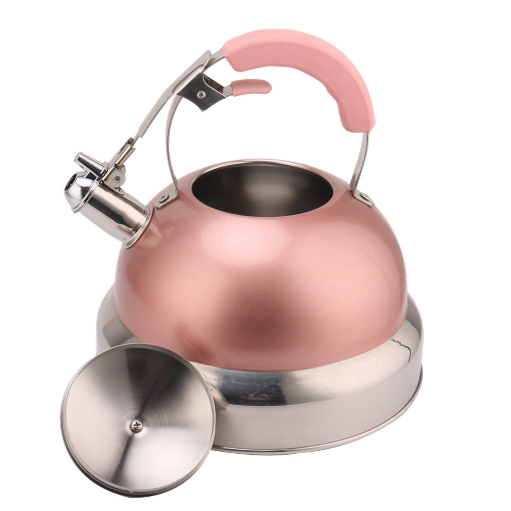 Kettle Induction-Stainless Steel Tea Kettle-Pink Color — 4