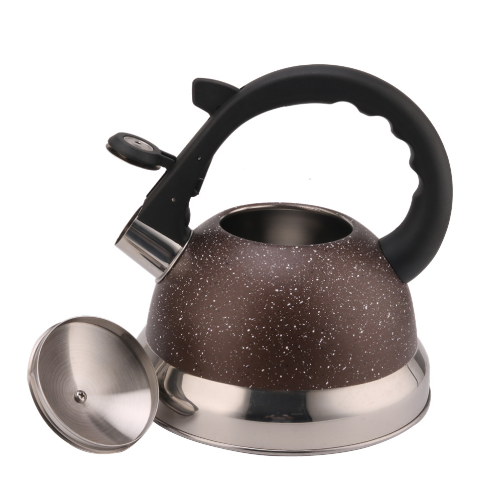 3 Litre Capacity Stainless Steel Whistling Kettle — 5