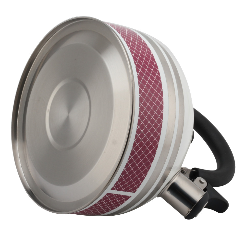 S/S Tea Kettle With Whistling Sound-Suitable for All Hob Types — 6
