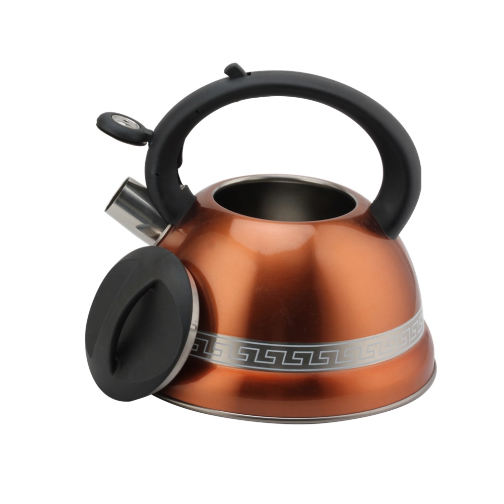 Kettle With Whistle, Suitable for Induction, 3L, Stainless Steel — 5