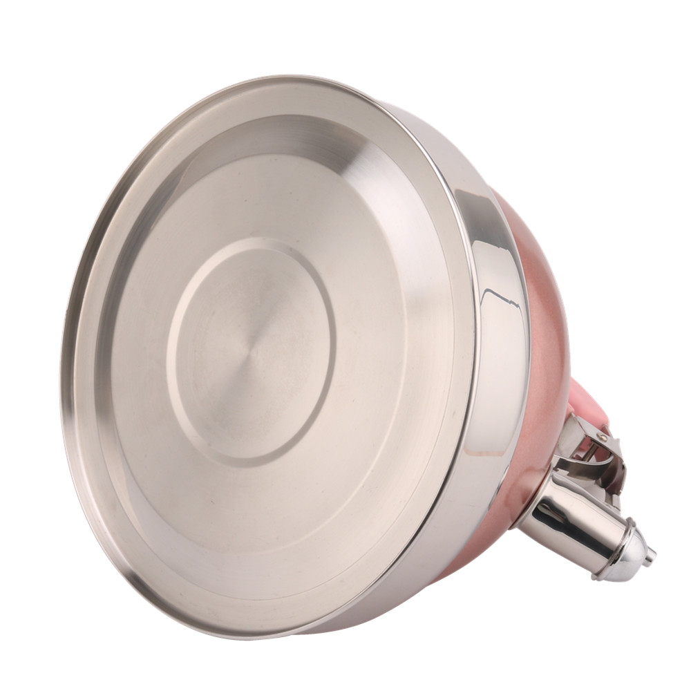 Kettle Induction-Stainless Steel Tea Kettle-Pink Color — 6