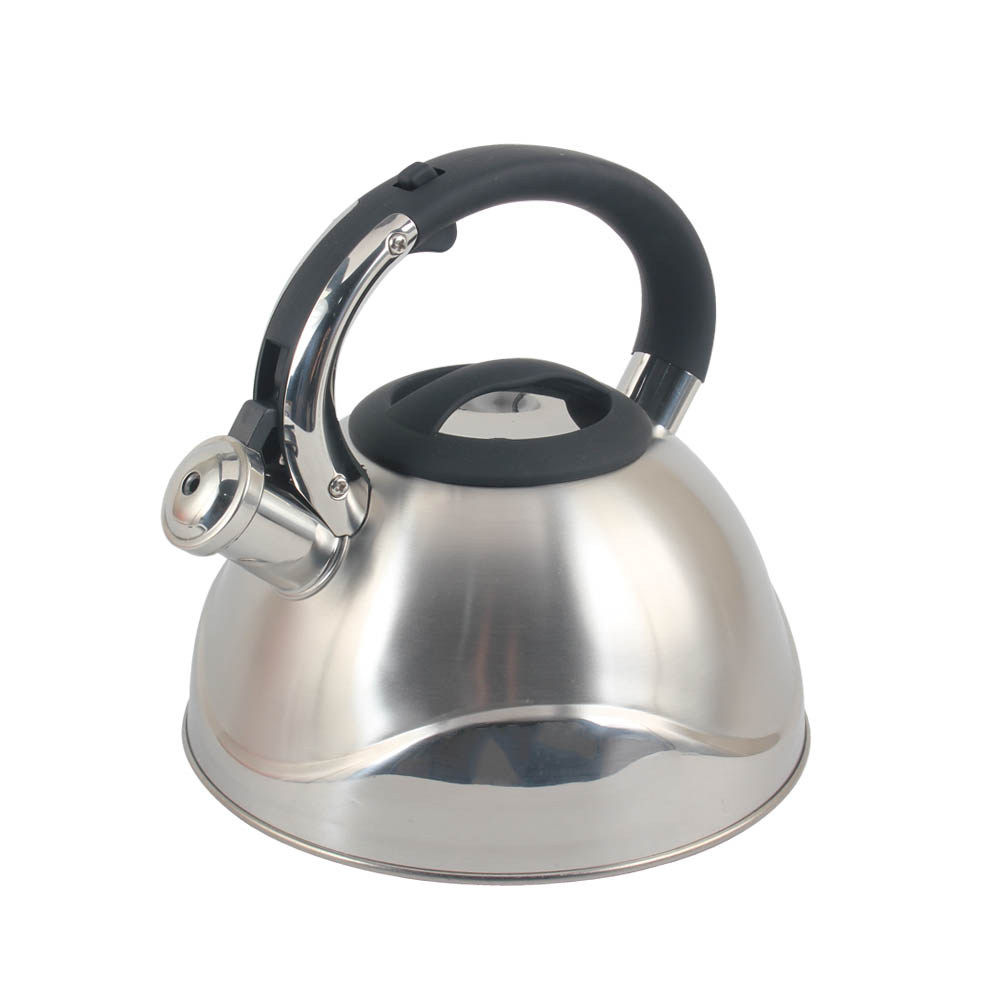 Stainless Steel whistling Kettle — 4