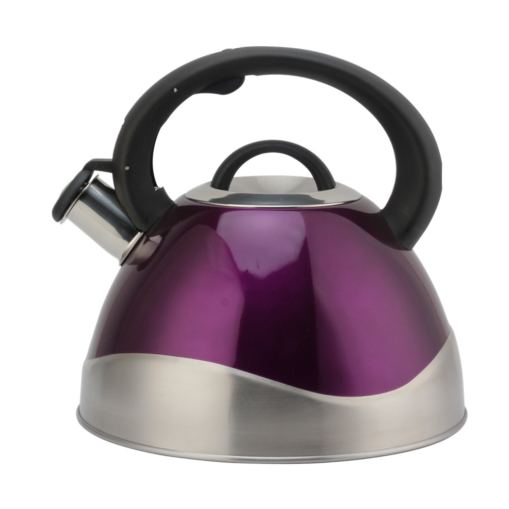 Stainless Steel Whistling Kettle - Tea Kettle for Stove - Teapot Suitable for Induction And Gas — product information