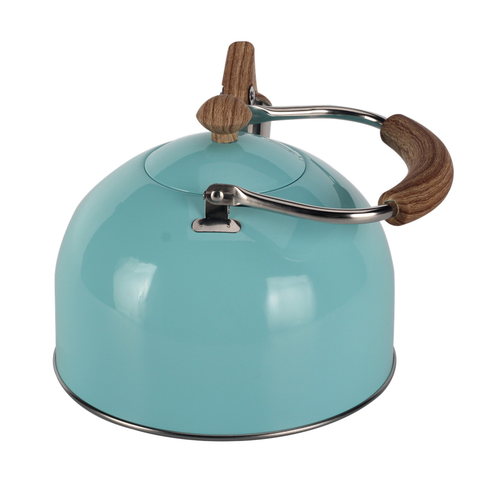 Mint Green Stainless Steel Whistling Tea Kettle — product information