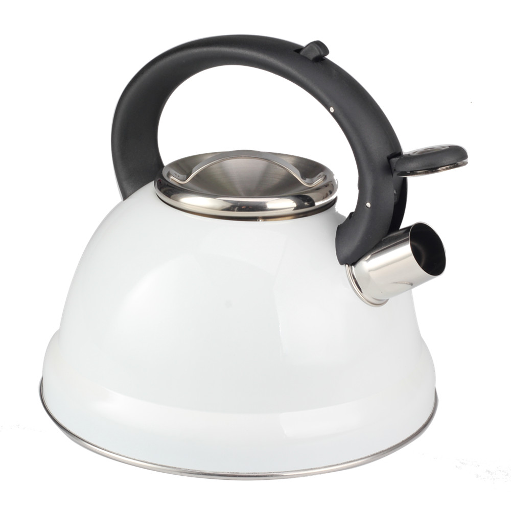 Classic Stainless Steel Whistling Tea Kettle — 4