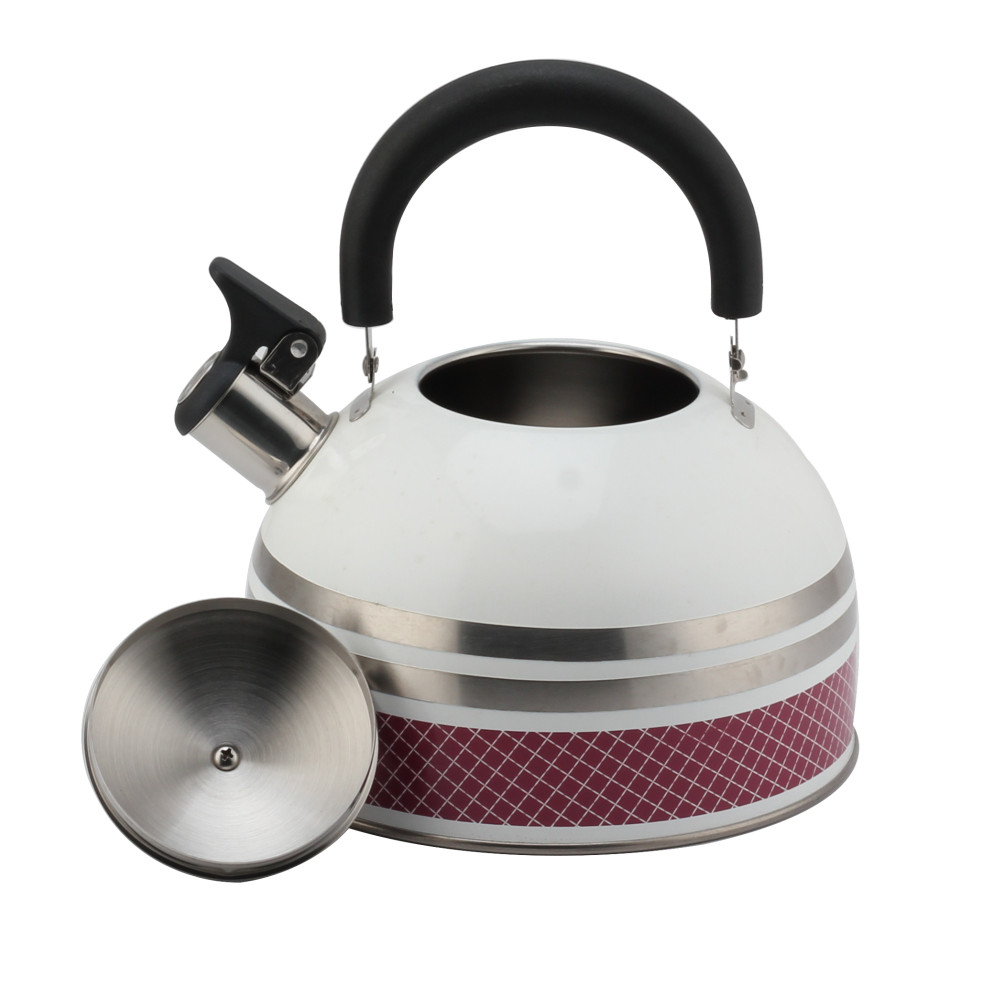 S/S Tea Kettle With Whistling Sound-Suitable for All Hob Types — 3