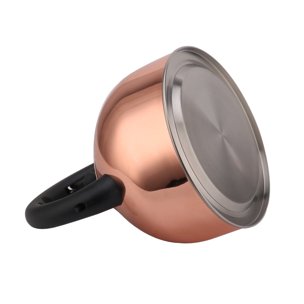 Classic S/S Whistling Kettle — 6