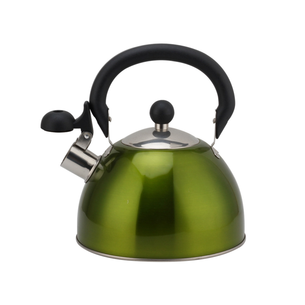 Stainless Steel Whistling Kettle, Ergonomic Handle, Green Color — 2